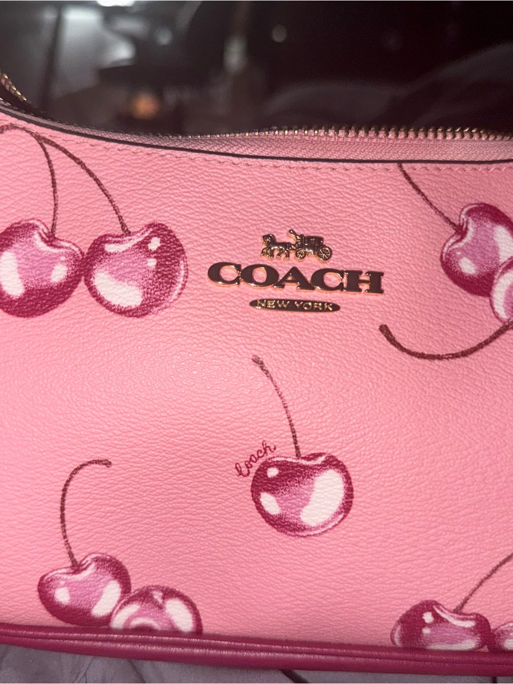 Coach Pink Cherry Print Leather Teri Purse